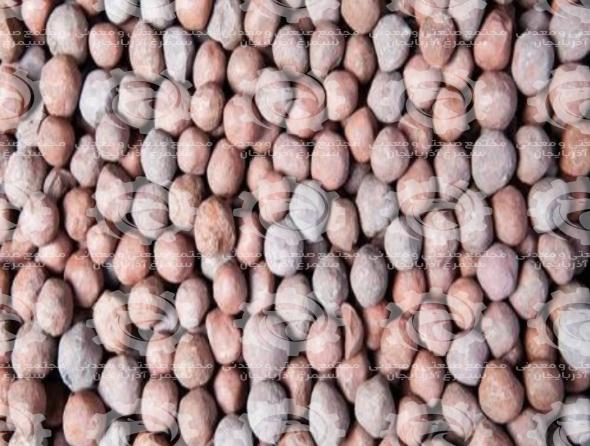The brief introduction to iron pellets